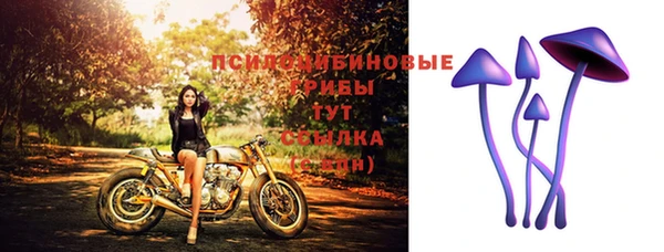 эйфоретик Домодедово