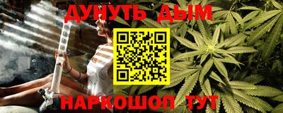 шишки Балашиха