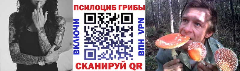 Галлюциногенные грибы Psilocybine cubensis  Балахна 