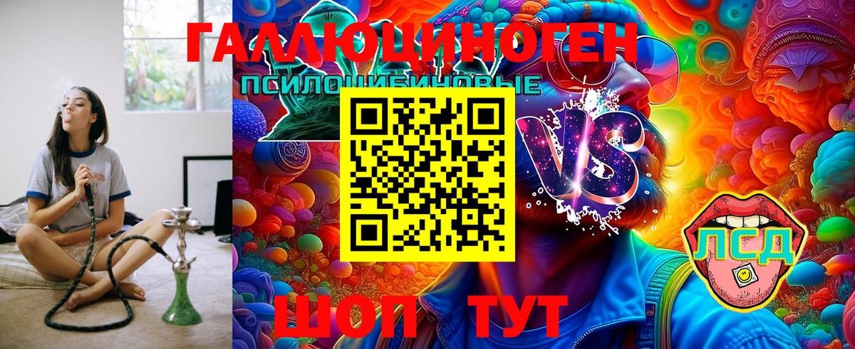 Псилоцибиновые грибы Psilocybe Балахна