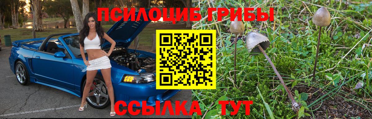 Галлюциногенные грибы Magic Shrooms  Вход с VPN  где купить наркоту  Балахна 