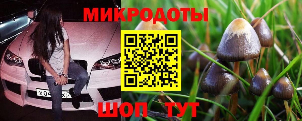 Псилоцибиновые грибы GOLDEN TEACHER Балахна